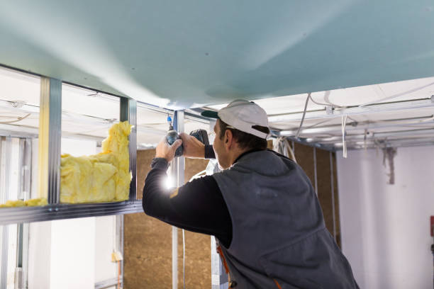 Best Eco-Friendly Insulation in Hollandale, MS