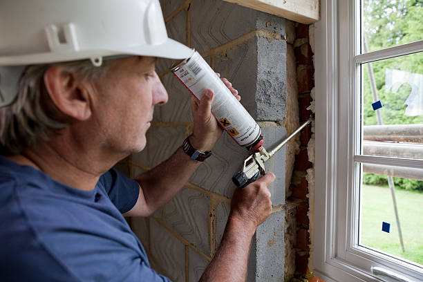 Best DIY Insulation Kits and Guidance in Hollandale, MS