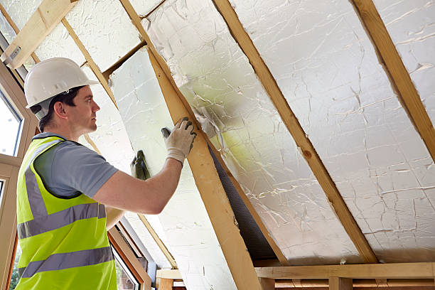 Best Residential Insulation in Hollandale, MS
