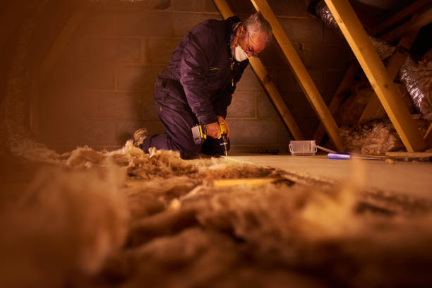 Best Insulation Maintenance and Repair in Hollandale, MS